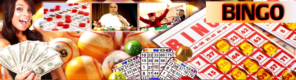 bingo